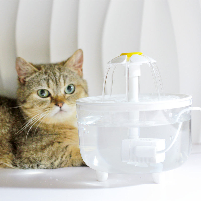 BowLift | Modern filtration system takes care of your cat's health!