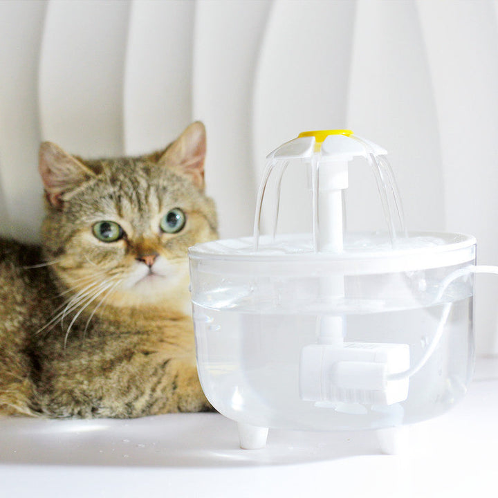 BowLift | Modern filtration system takes care of your cat's health!
