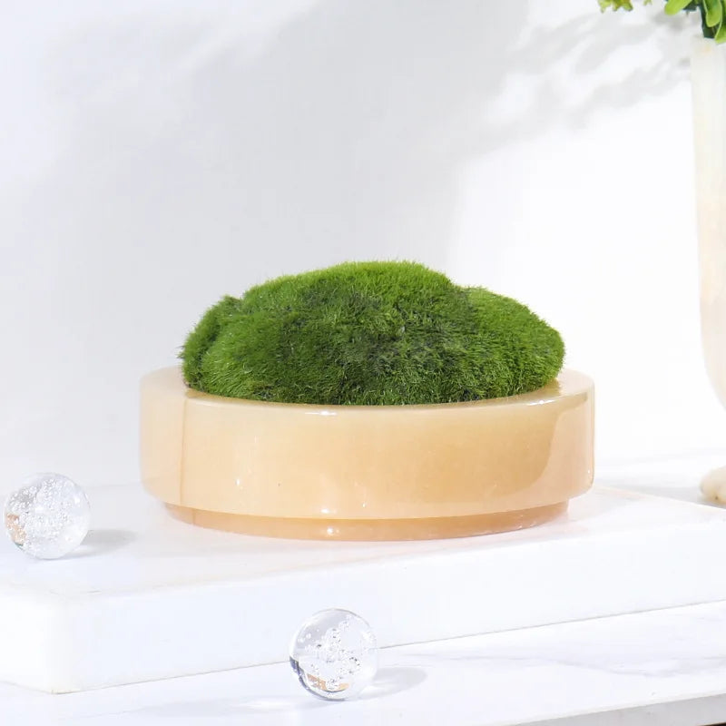 BowLift | Natural Marble Stone Moss Flower Pot - Luxury Round Desktop Planter