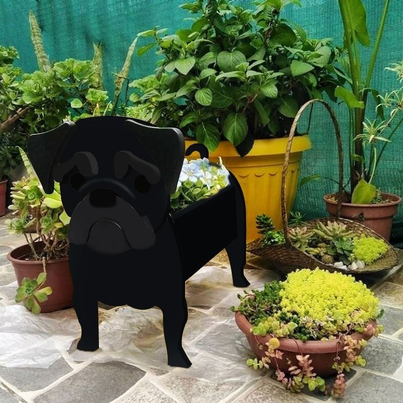 BowLift | PawPlanter Green Pet Oasis