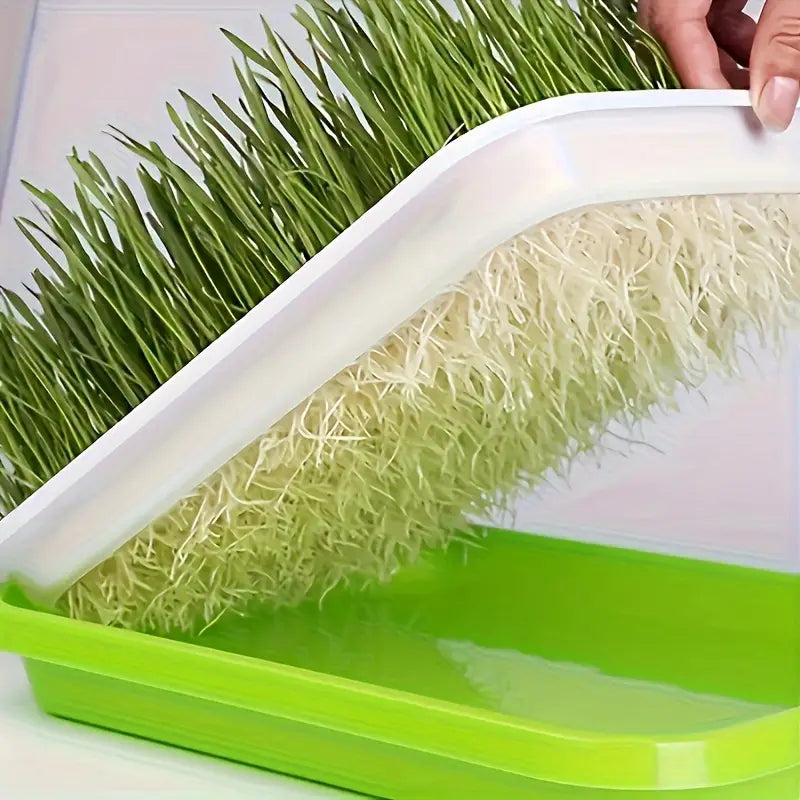 BowLift | Germination trays with lid – Double-layer seed sowing tray for effective seed germination