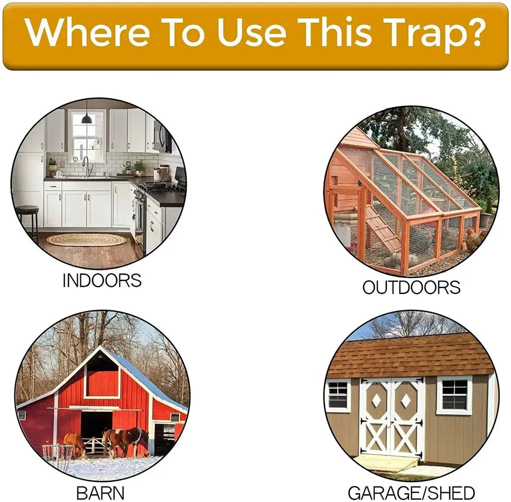 BowLift | RamonaSnap — Finally stress-free and safely free your home from rats!