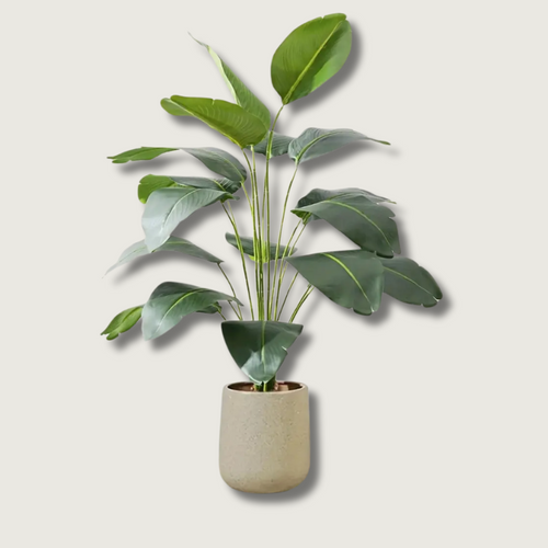 BowLift | LeafVibe - Banana Tree Decoration