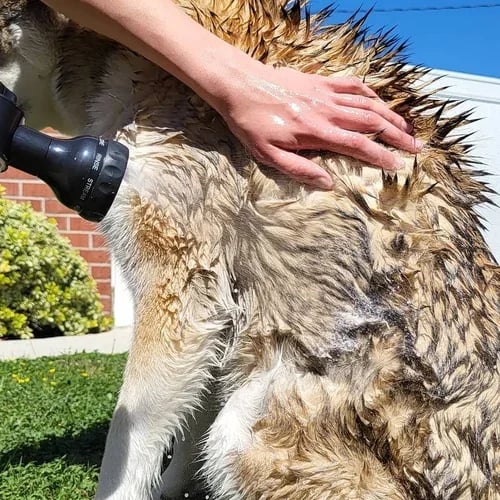 BowLift | Multi-mode Dog Bath Foaming Water Gun