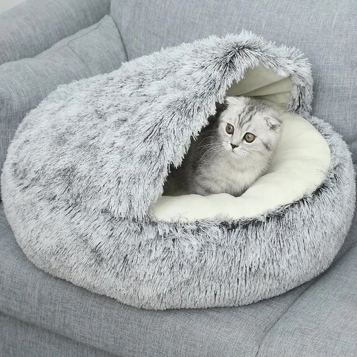 BowLift | Cuddle Paradise — Safe relaxation for your anxiety-free buddy