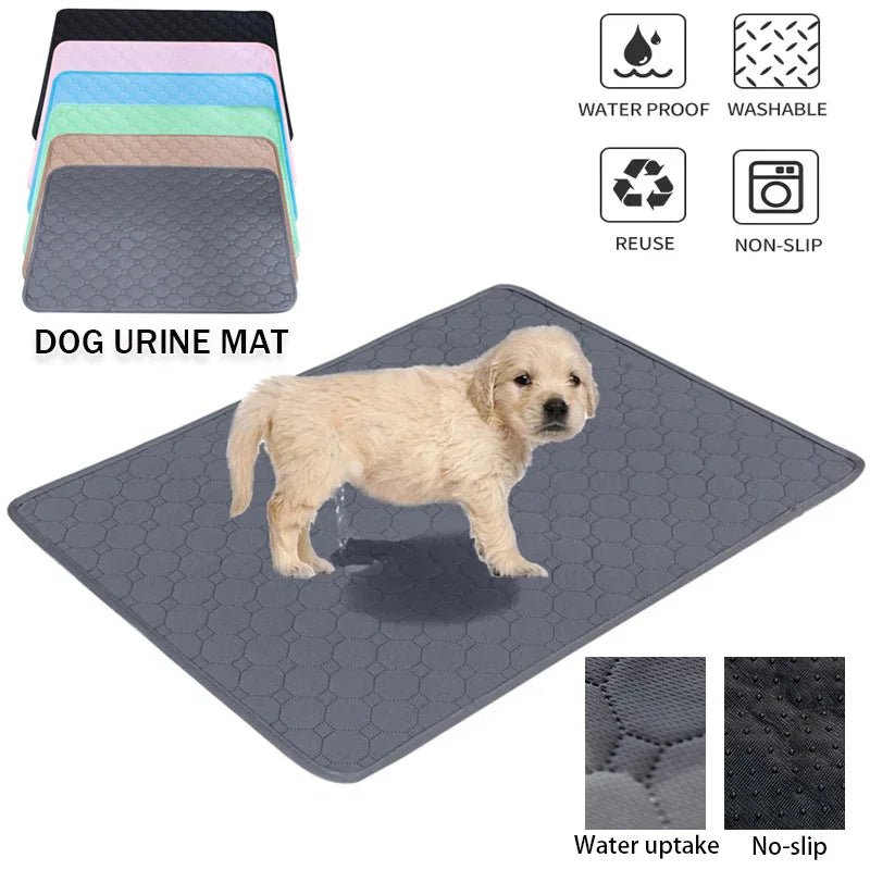 EcoComfort • Washable Dog Pee Pads - Dog Pee Pads - BowLift