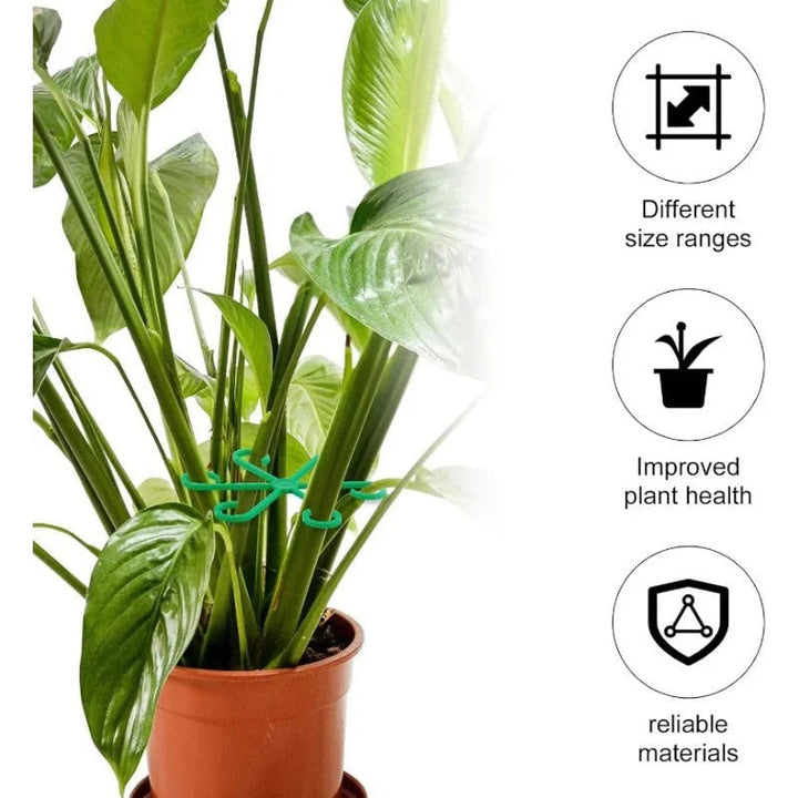 GrowMaster — Let your plants grow unstoppable strong and healthy! (8 pieces) | Bowlift