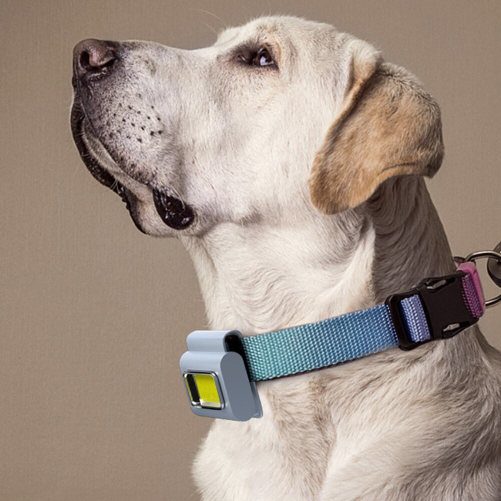 BowLift | Pocket Must-Have Mini Magnetic Walking Lamp Clip