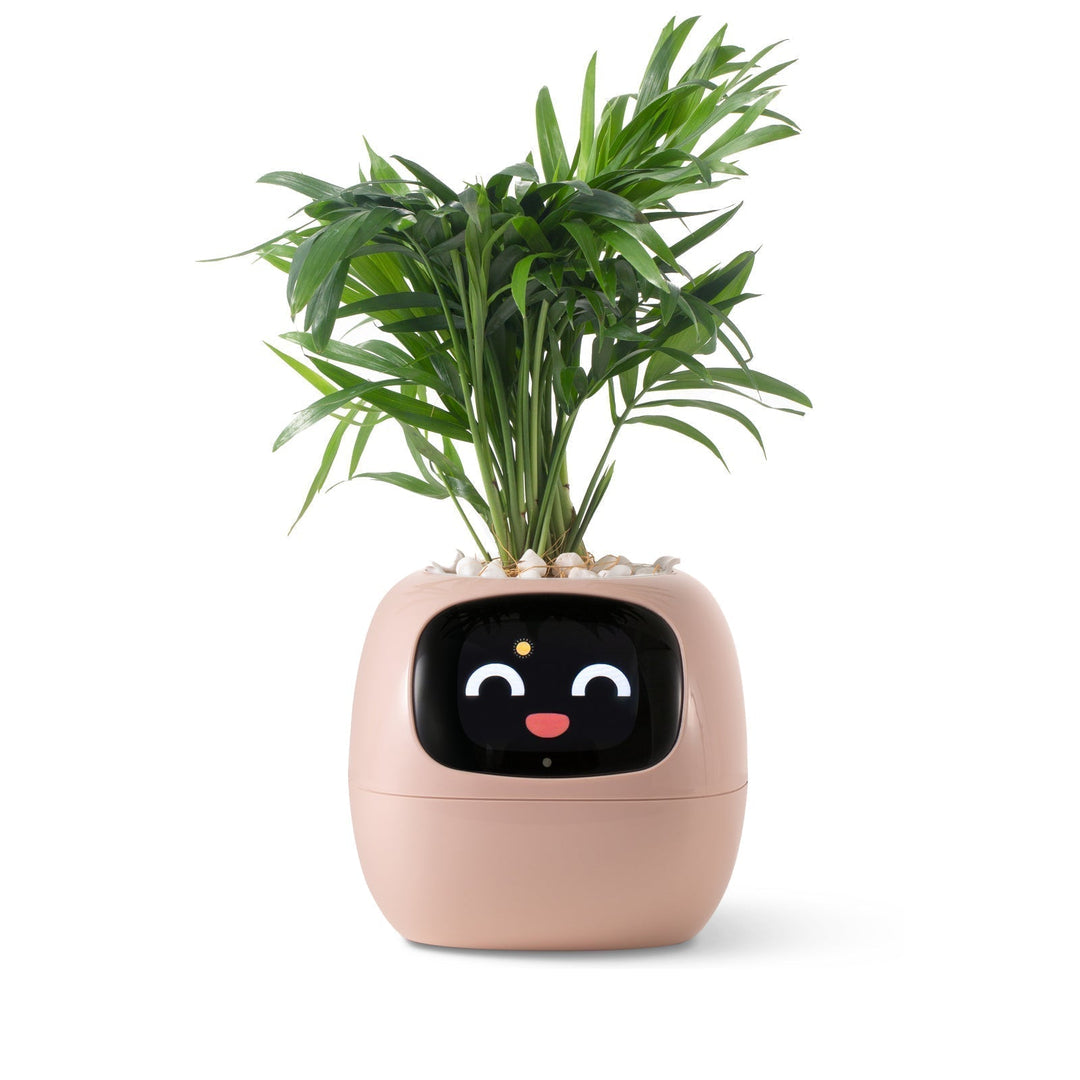 BowLift | VerdeGlow – Self-Watering Smart Plant Pot | Automatic Irrigation | Modern Indoor Planter