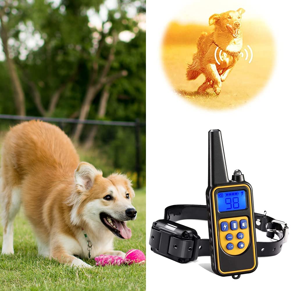 BowLift | Dog training collar waterproof remote control