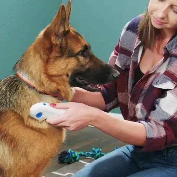 Electric Flea Remover for Pets - FleaZap Bowlift