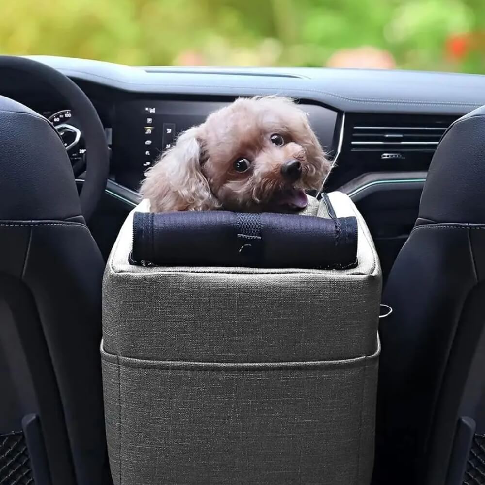 ElevatedPet • Dog & Cat Car Seat - Dog & Cat Car Seat - BowLift