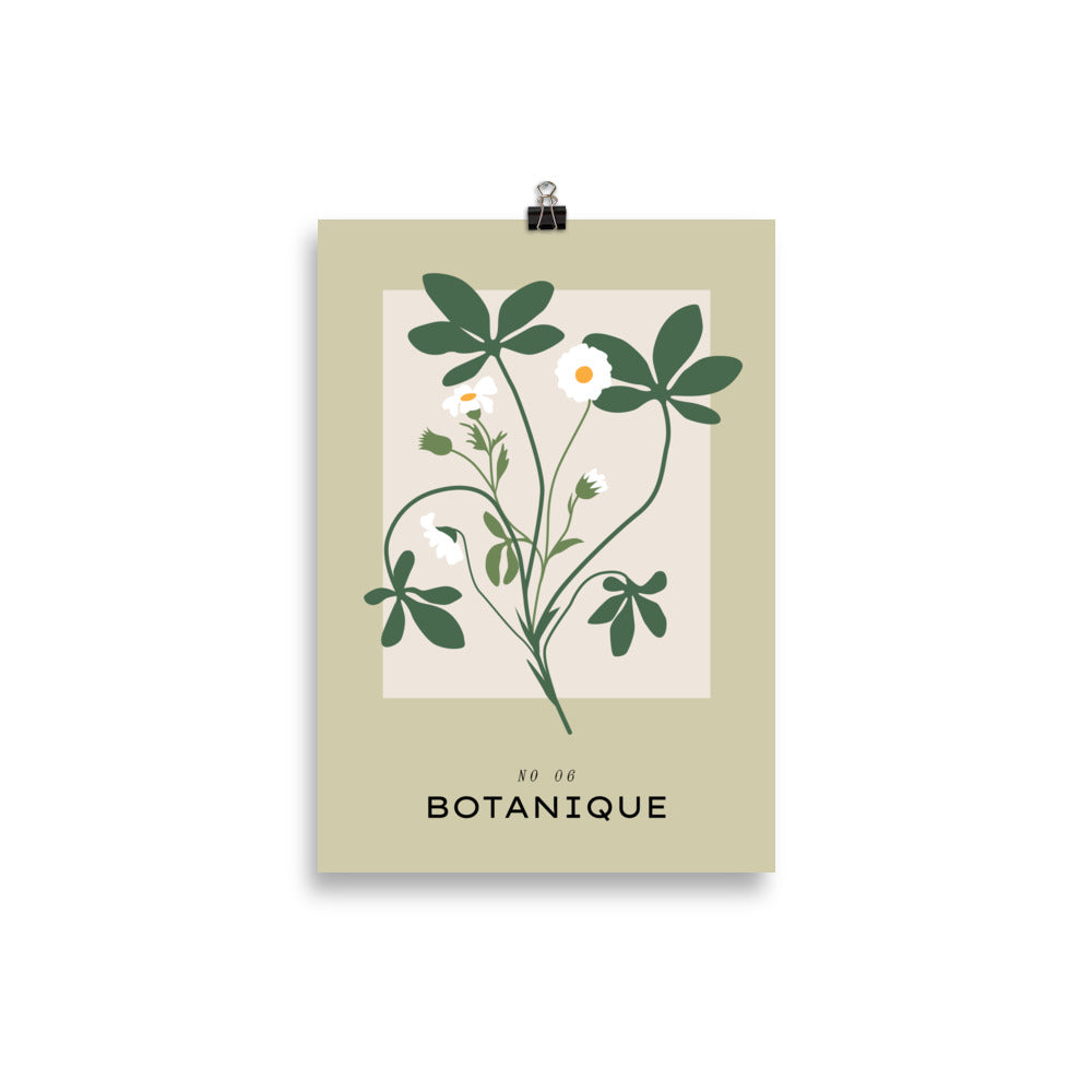 Botanique No. 6 | Bowlift