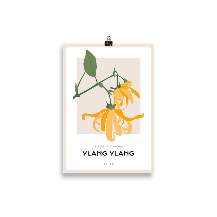 Ylang Ylang | Bowlift