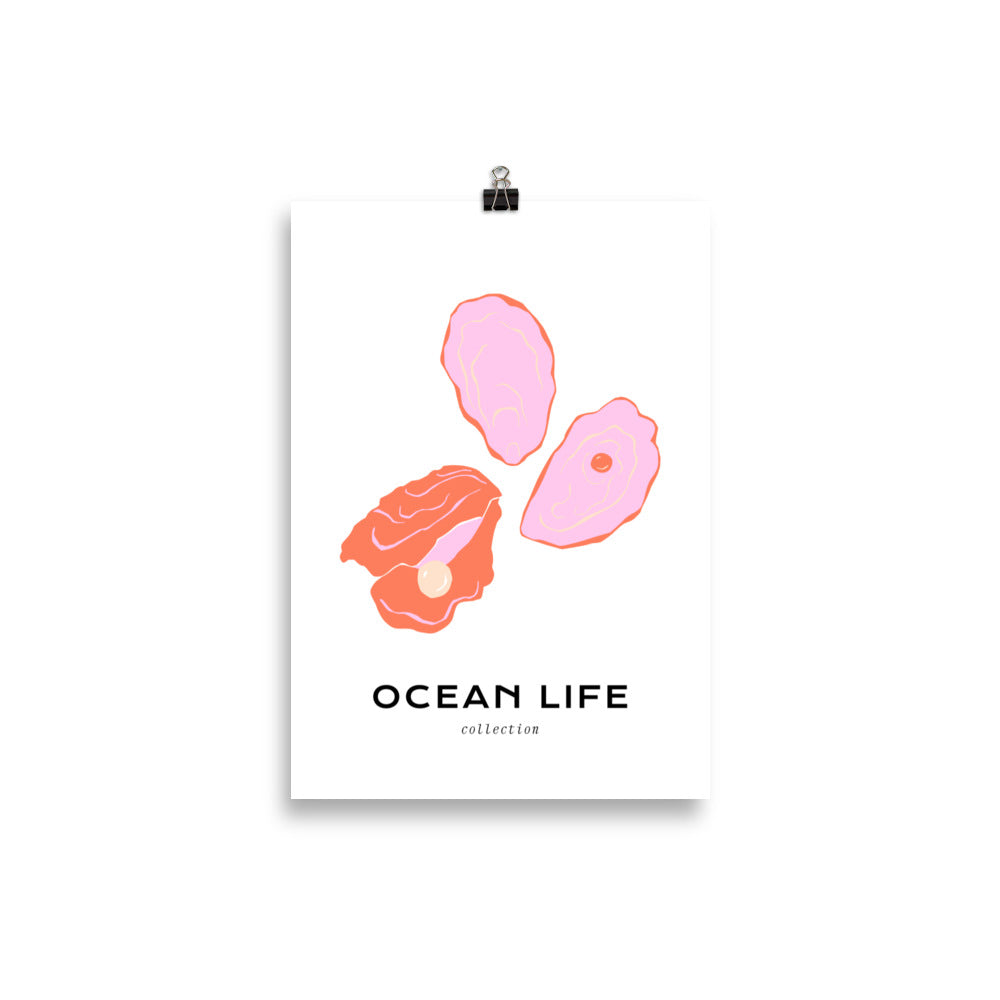 Ocean Life - Shell | Bowlift