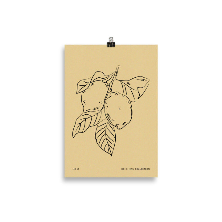 Lemons | Bowlift