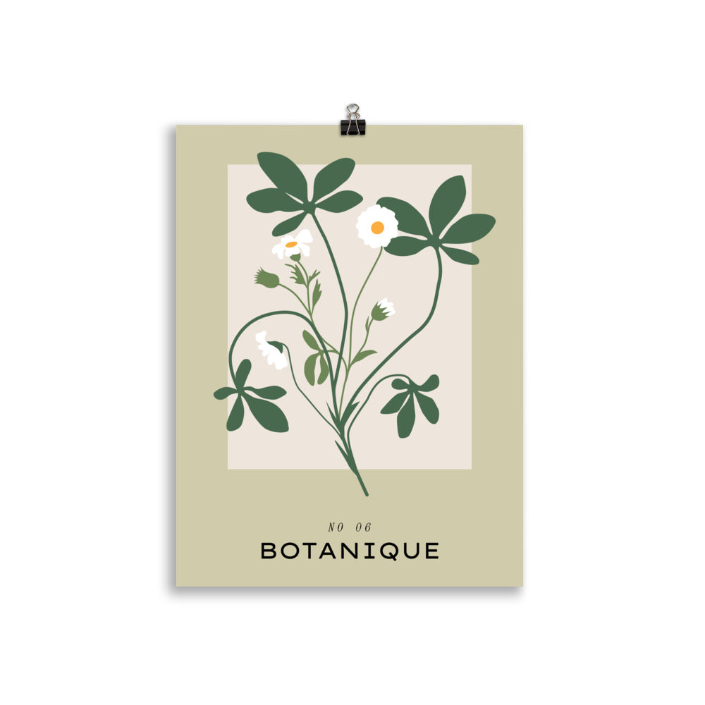 Botanique No. 6 | Bowlift