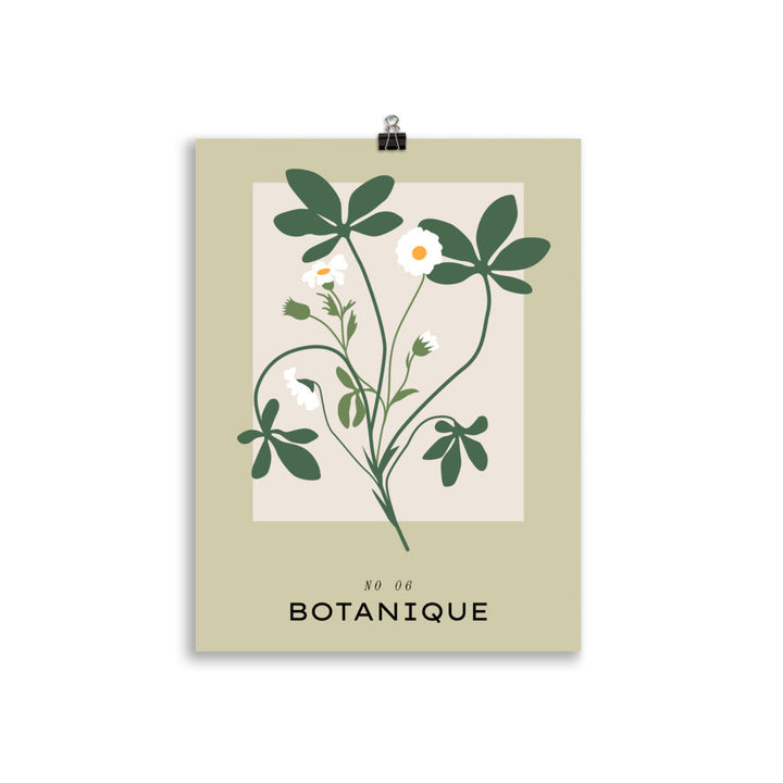 Botanique No. 6 | Bowlift
