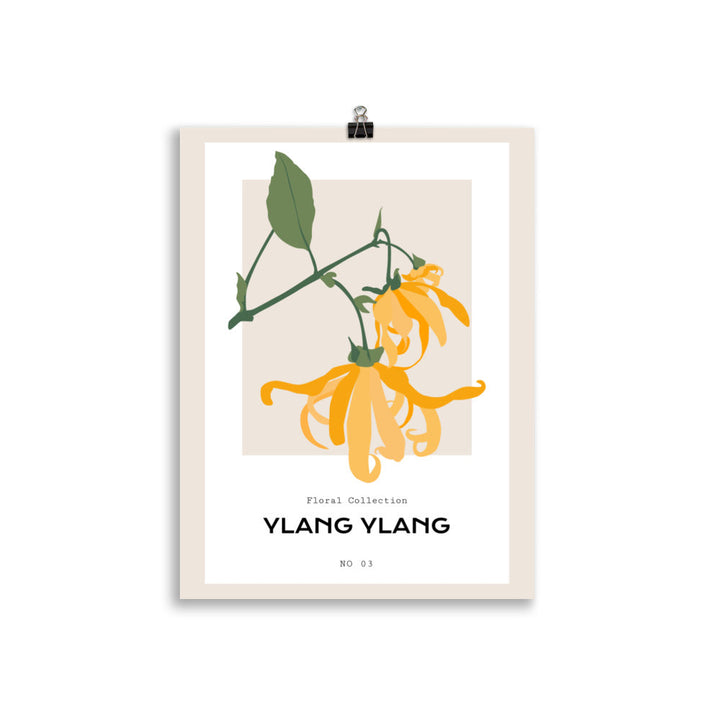 Ylang Ylang | Bowlift