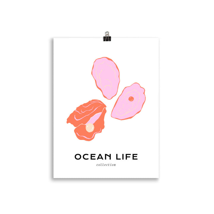 Ocean Life - Shell | Bowlift