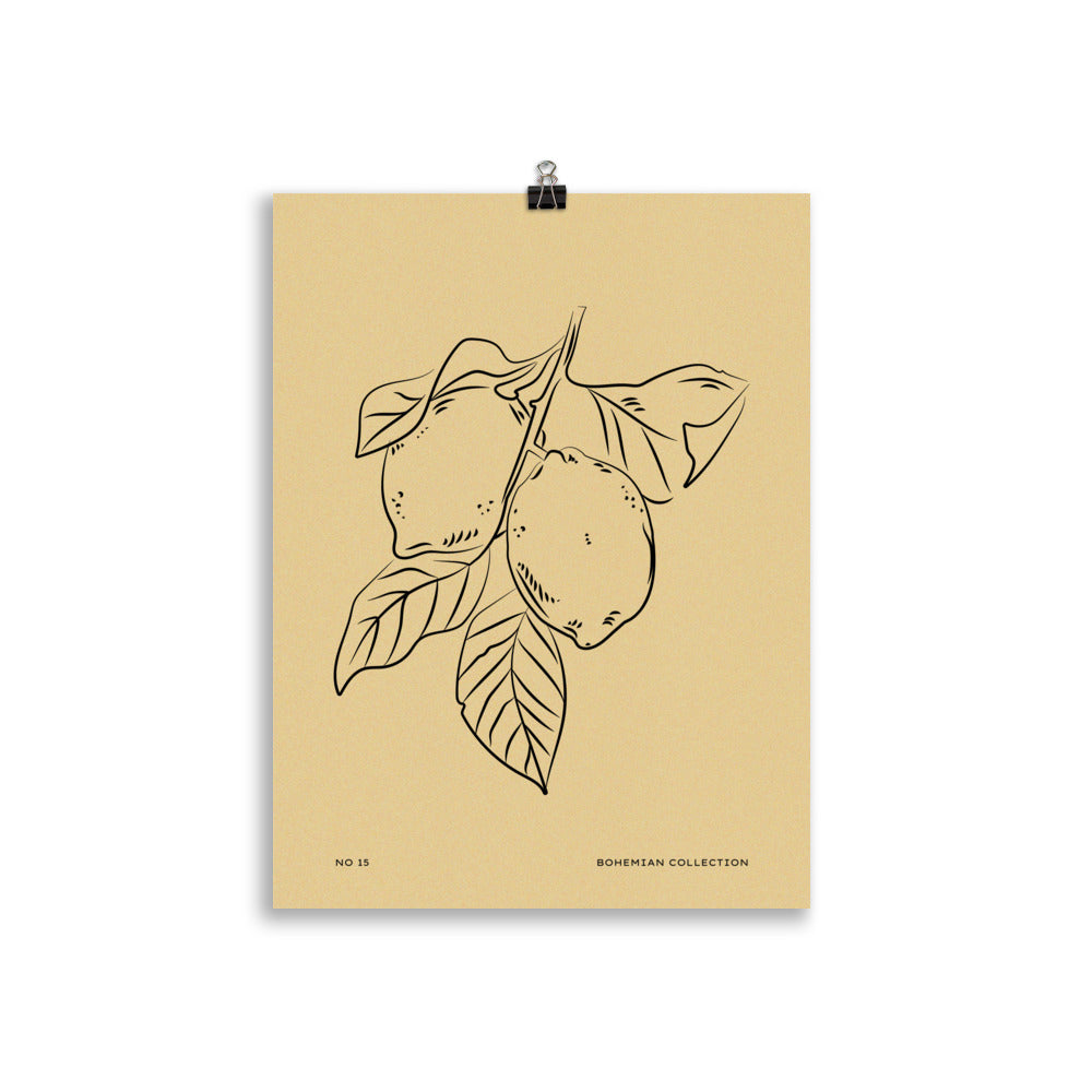 Lemons | Bowlift