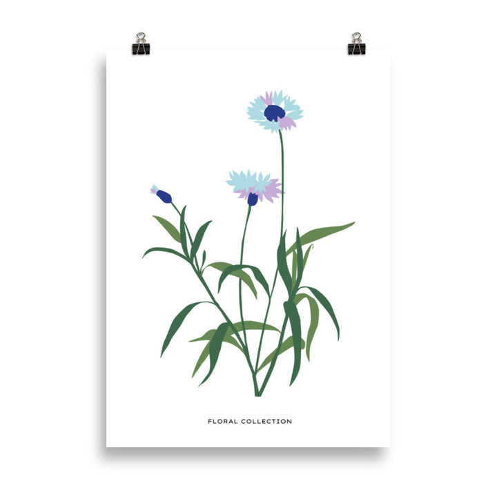 Floral Collection - Blue Flower | Bowlift