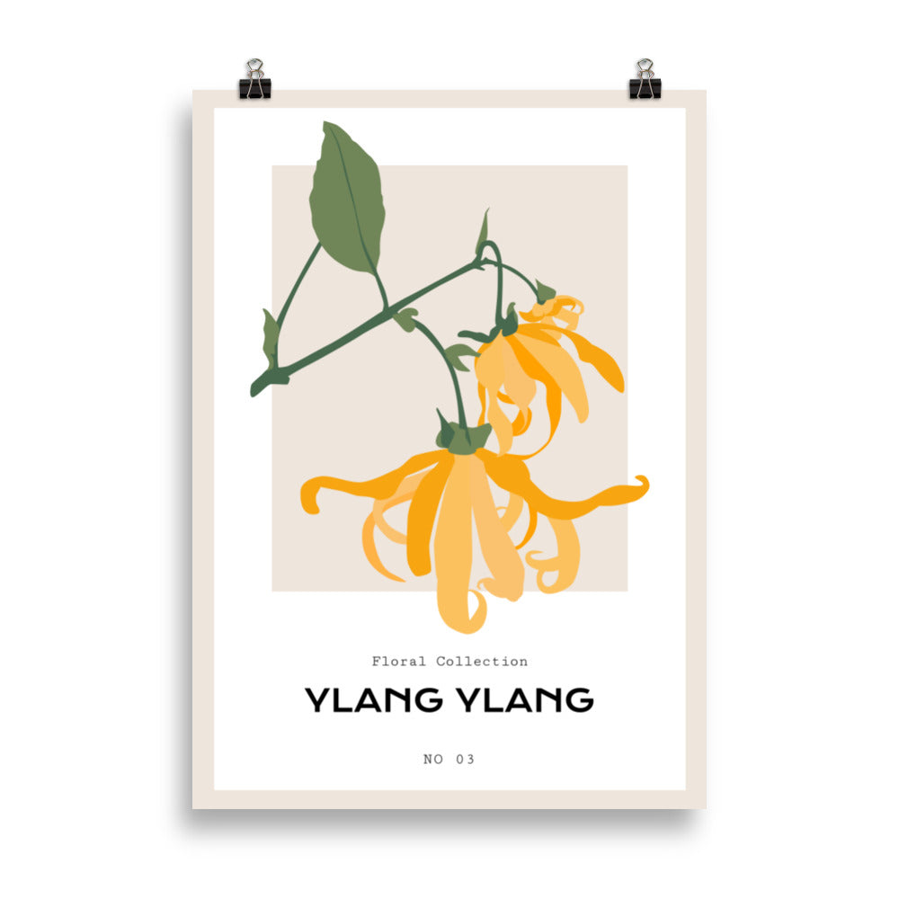 Ylang Ylang | Bowlift