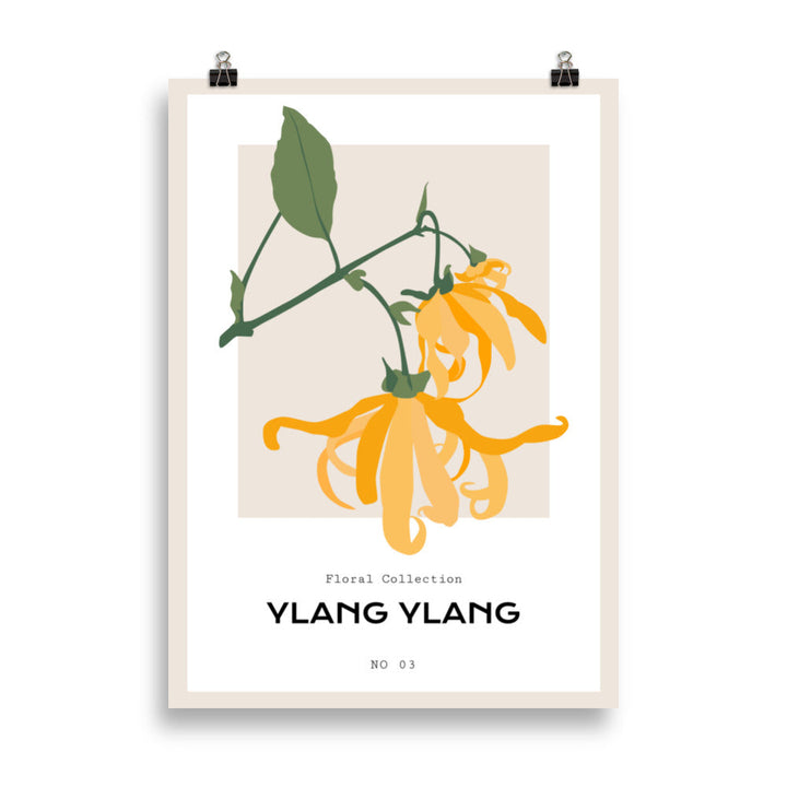 Ylang Ylang | Bowlift