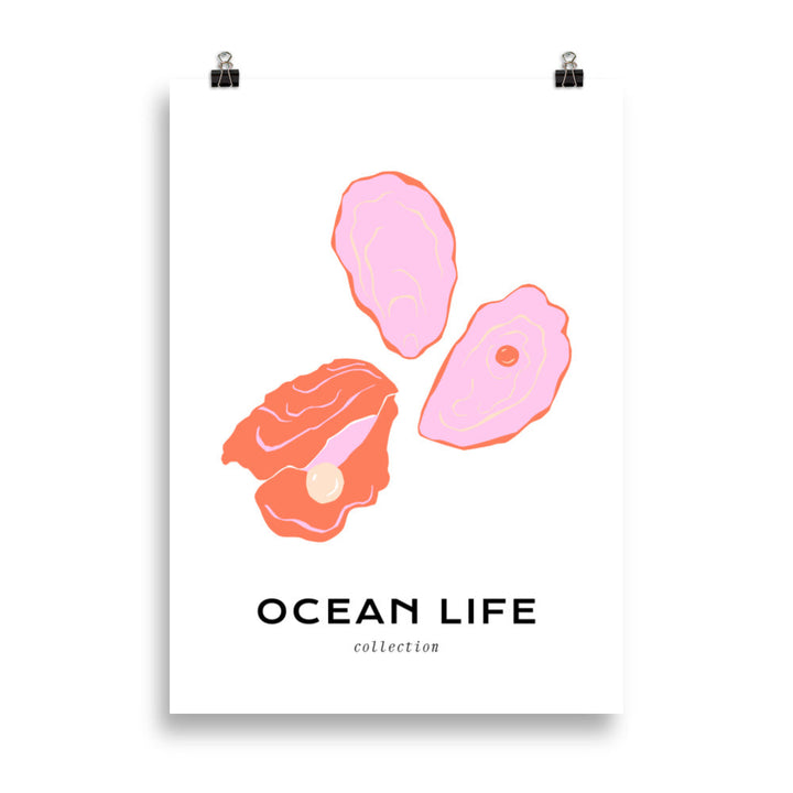 Ocean Life - Shell | Bowlift