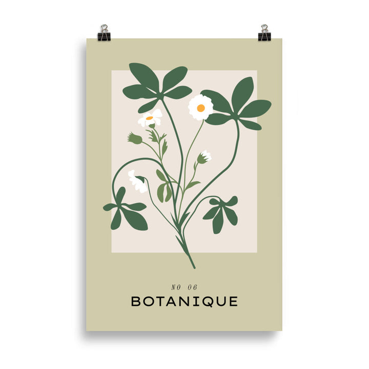 Botanique No. 6 | Bowlift