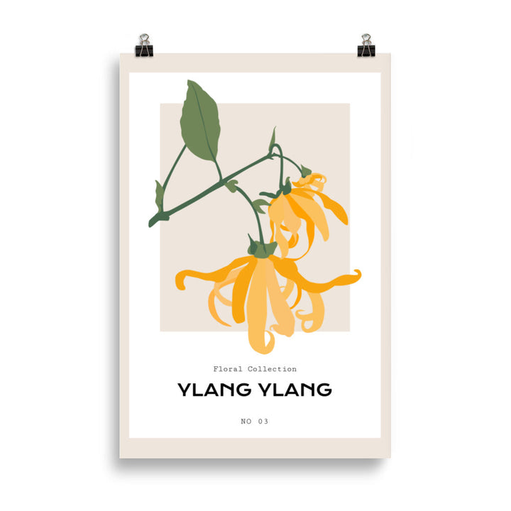 Ylang Ylang | Bowlift