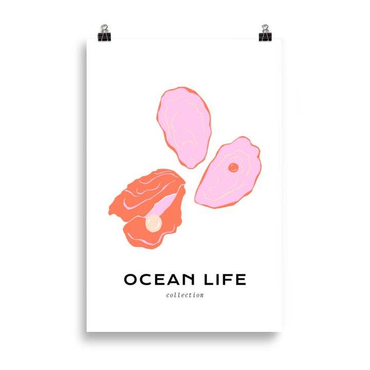 Ocean Life - Shell | Bowlift