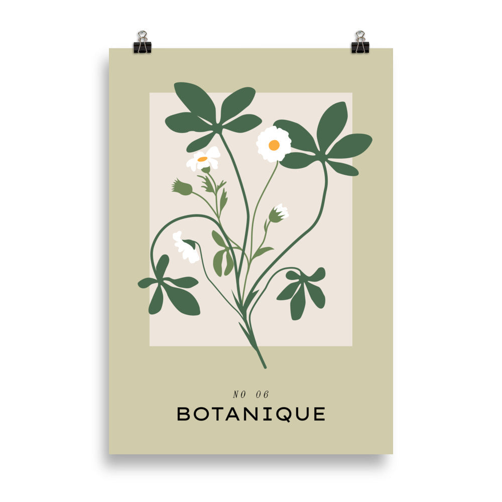 Botanique No. 6 | Bowlift