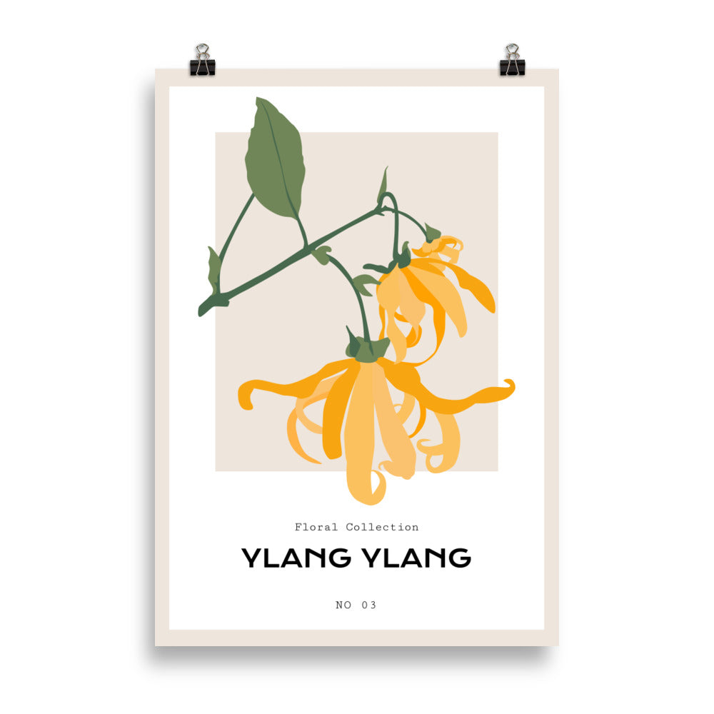 Ylang Ylang | Bowlift