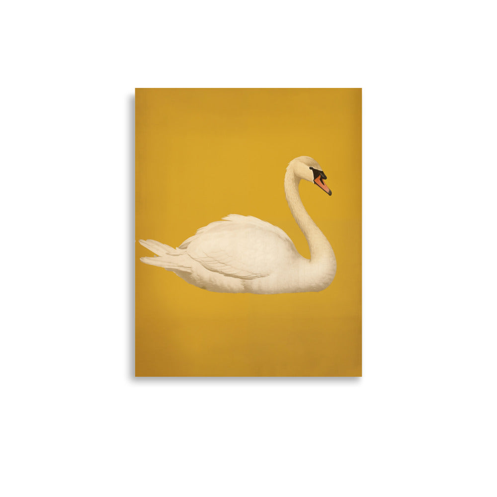 Swan | Bowlift