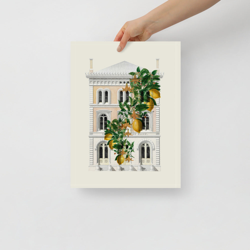 Lemony Hous of Bank | Bowlift