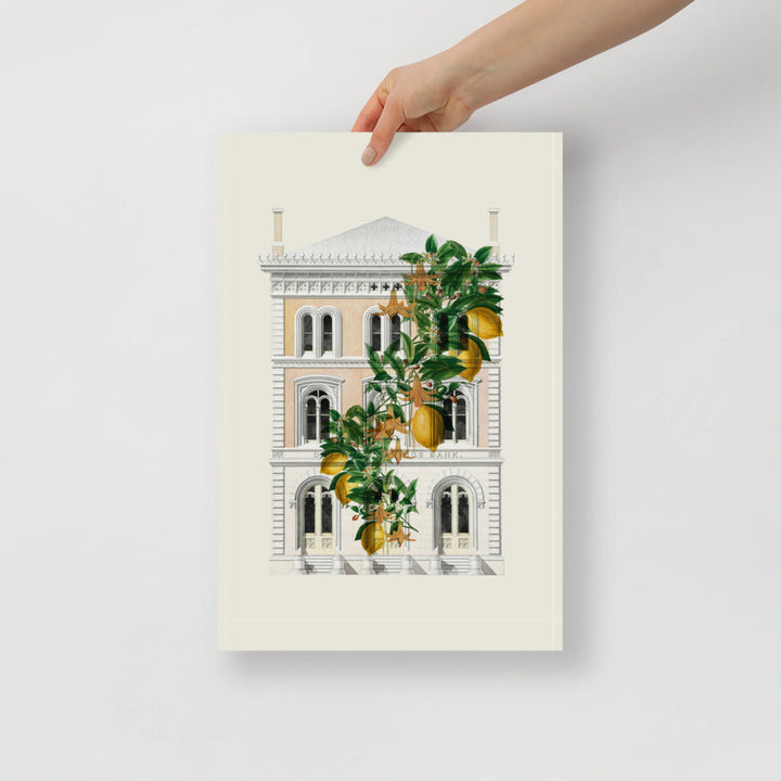 Lemony Hous of Bank | Bowlift