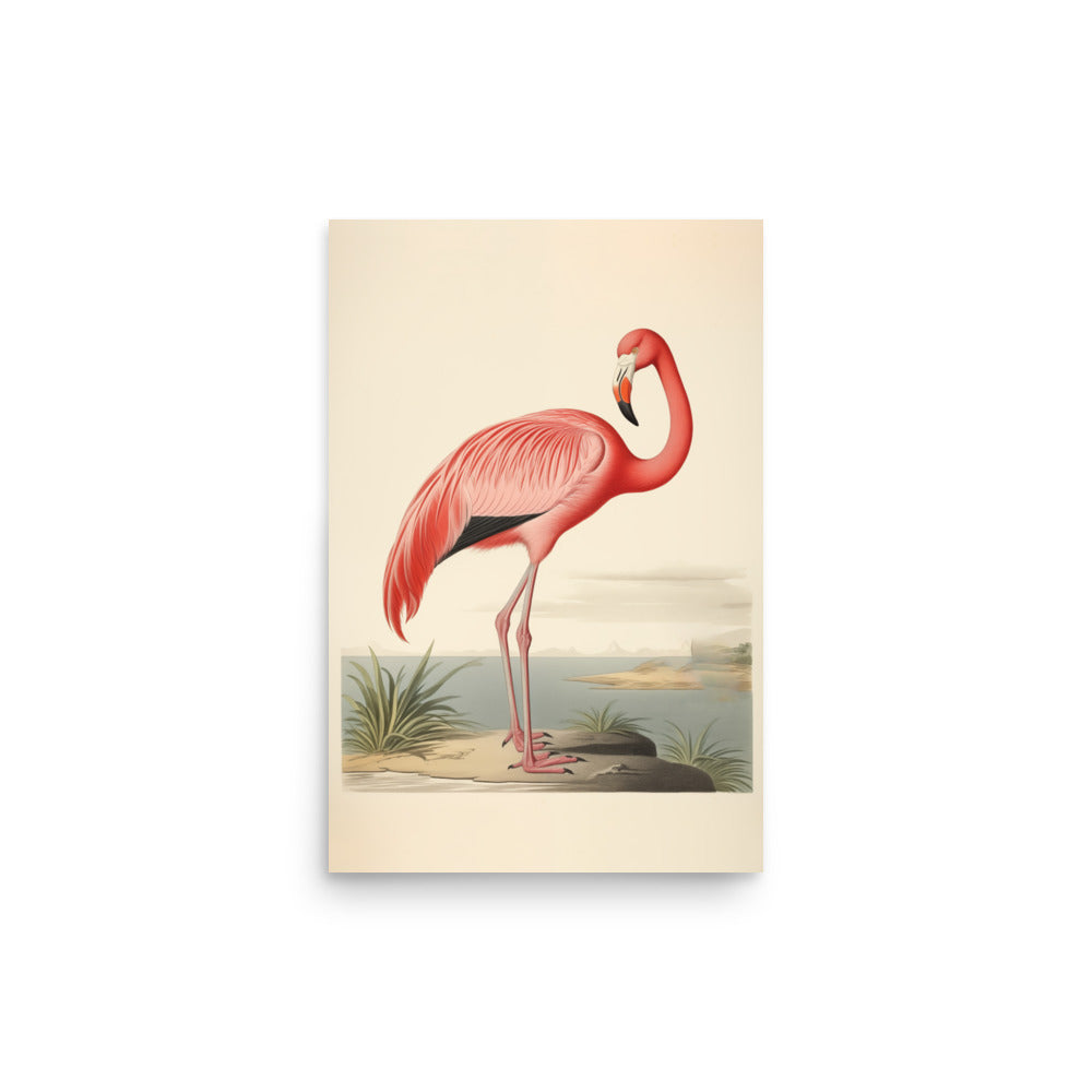 Flamingo | Bowlift