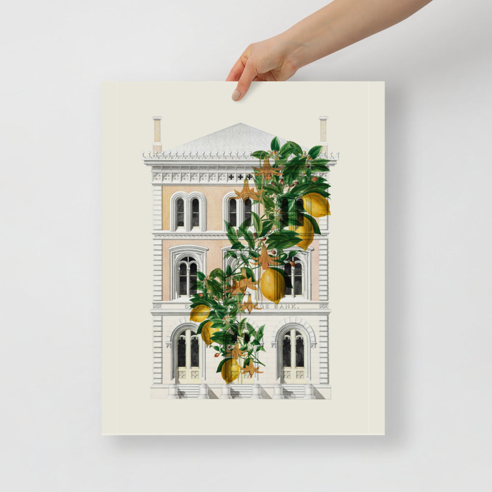 Lemony Hous of Bank | Bowlift