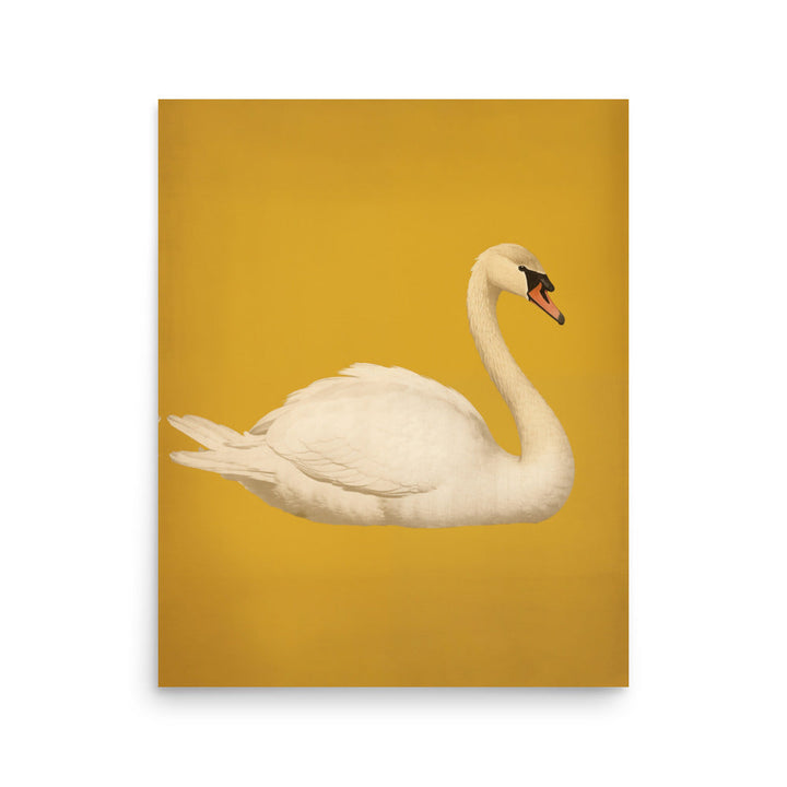 Swan | Bowlift