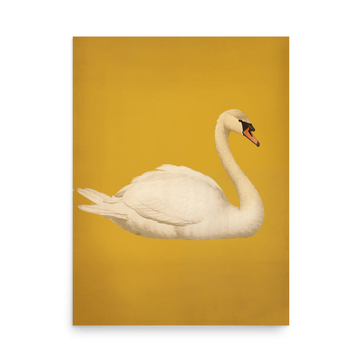 Swan | Bowlift