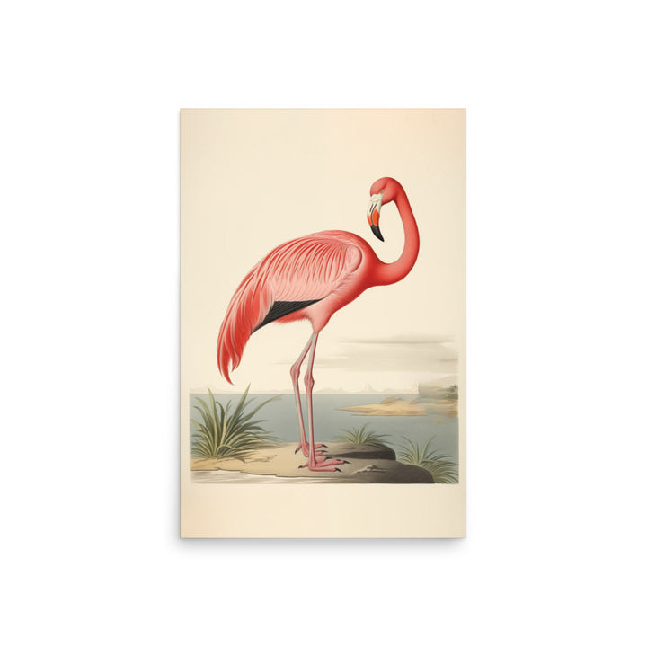 Flamingo | Bowlift