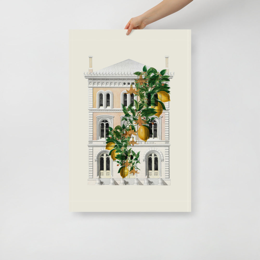 Lemony Hous of Bank | Bowlift