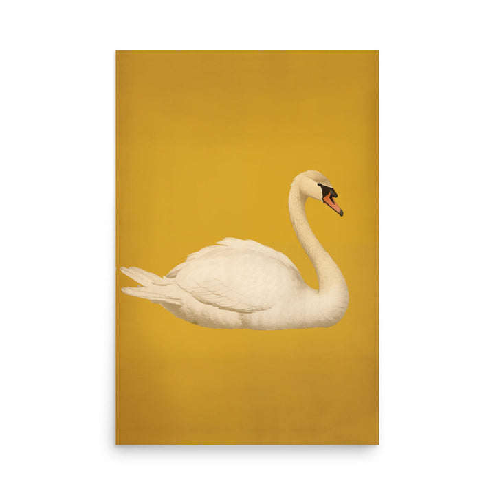 Swan | Bowlift