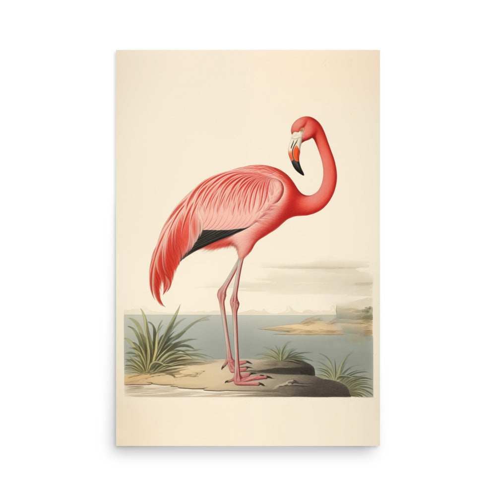 Flamingo | Bowlift
