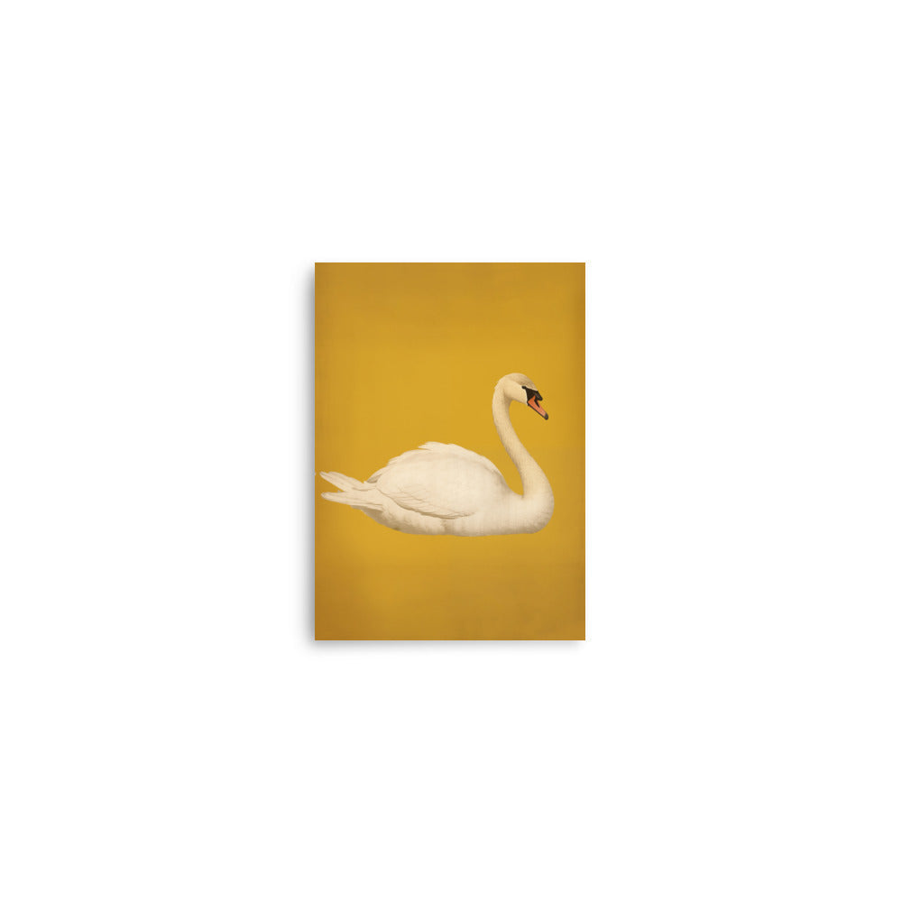 Swan | Bowlift