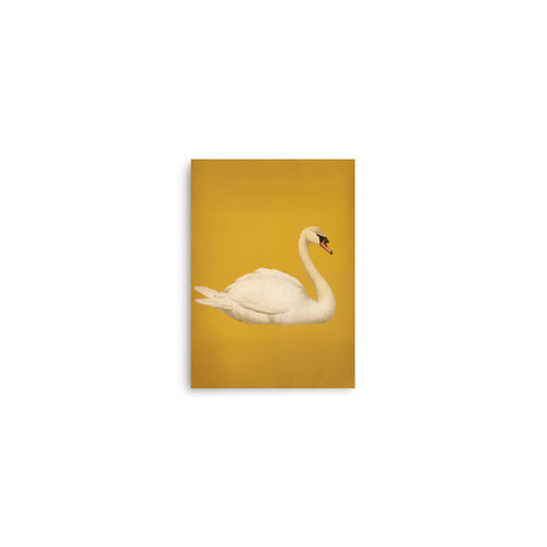 Swan | Bowlift
