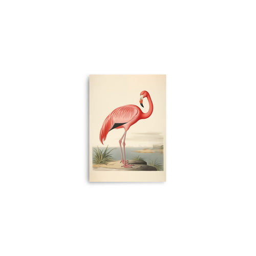 Flamingo | Bowlift
