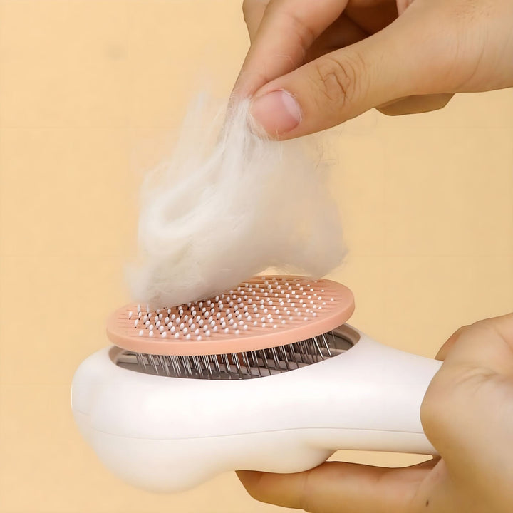 Bowlift Care Brush