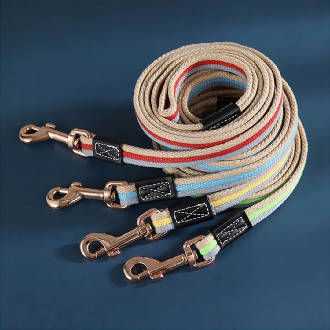 Bowlift Paws Dog Leash